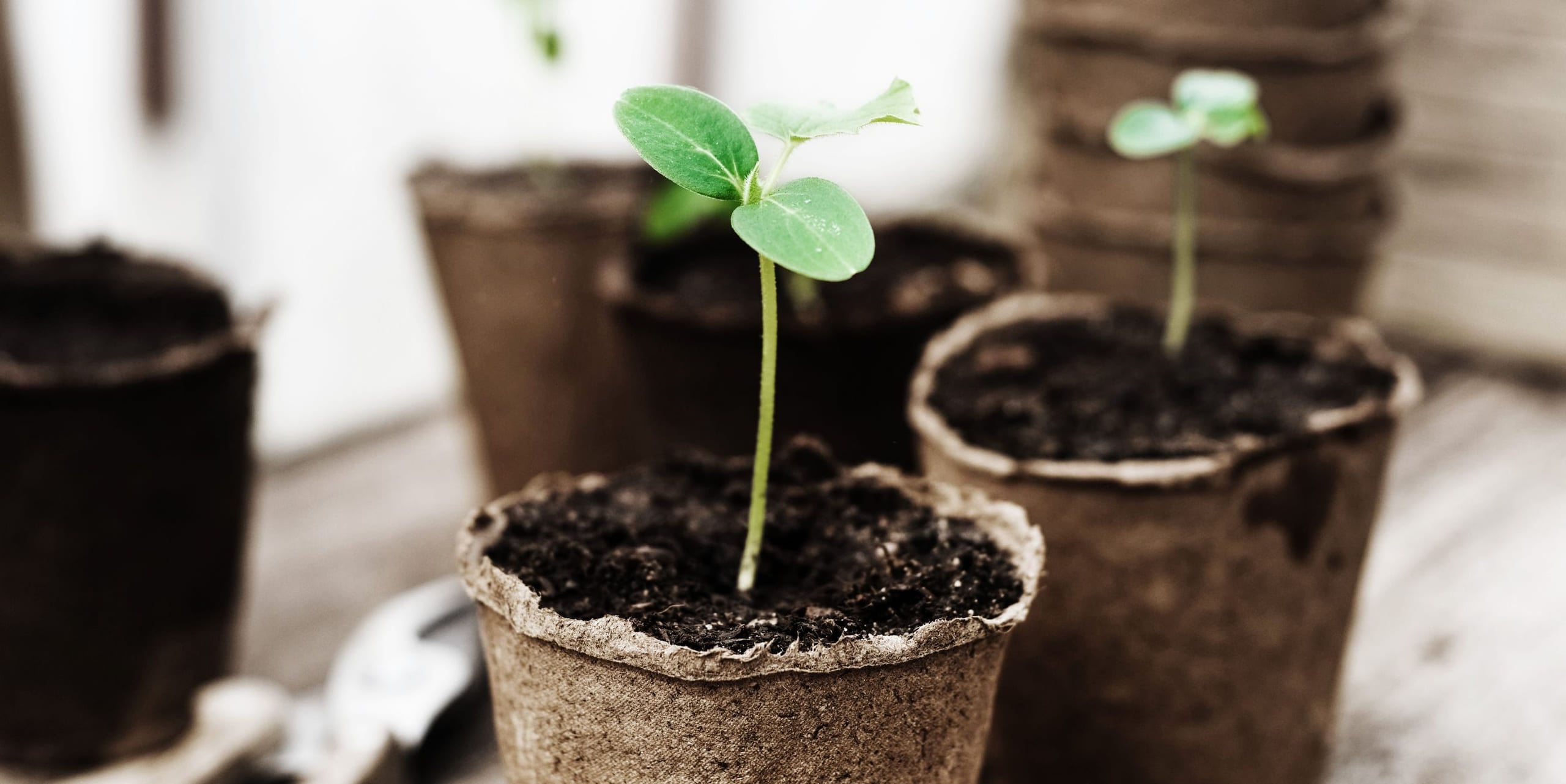 Få mer ut av pengene dine med sparekonto