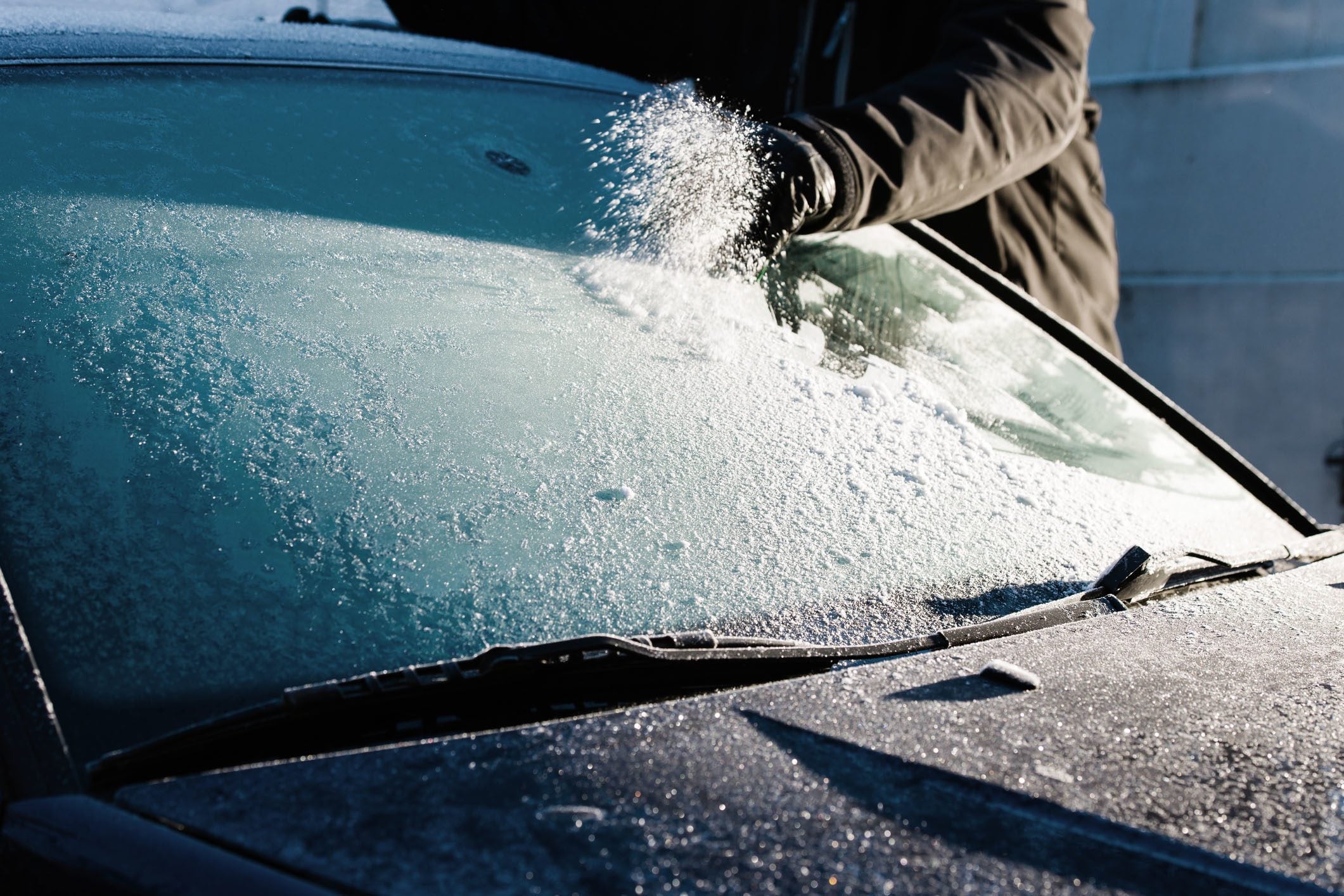 Videotips: Fjerne is på ruta