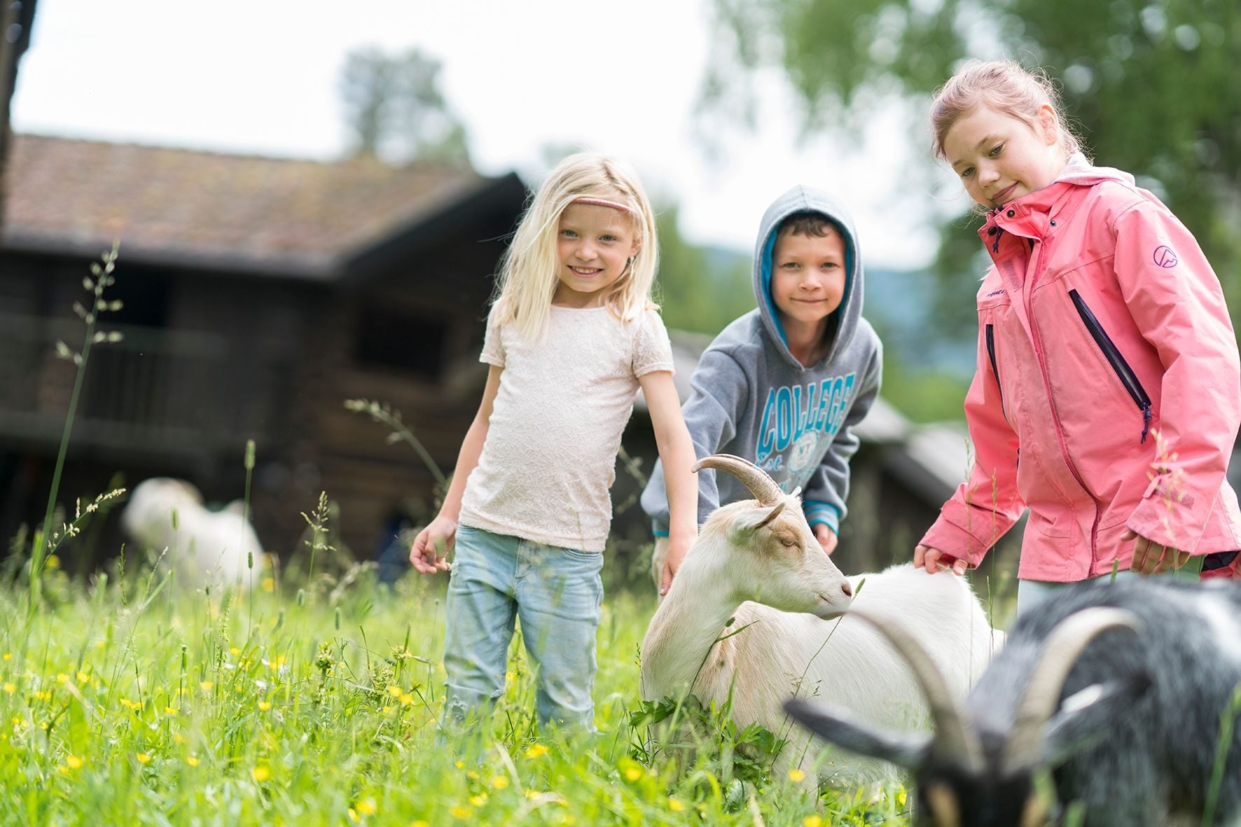 Barn som klapper en geit på en bondegård